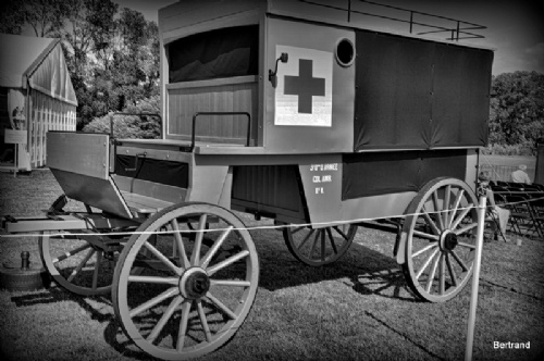 A.Passchendaele themaw. (42)